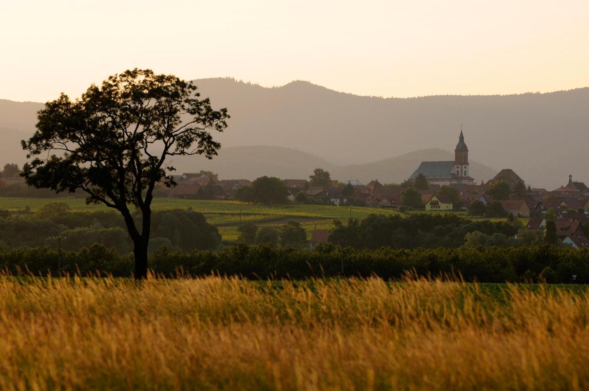 Gite Elouann Familial Spacieux Calme Holiday home Ebersheim