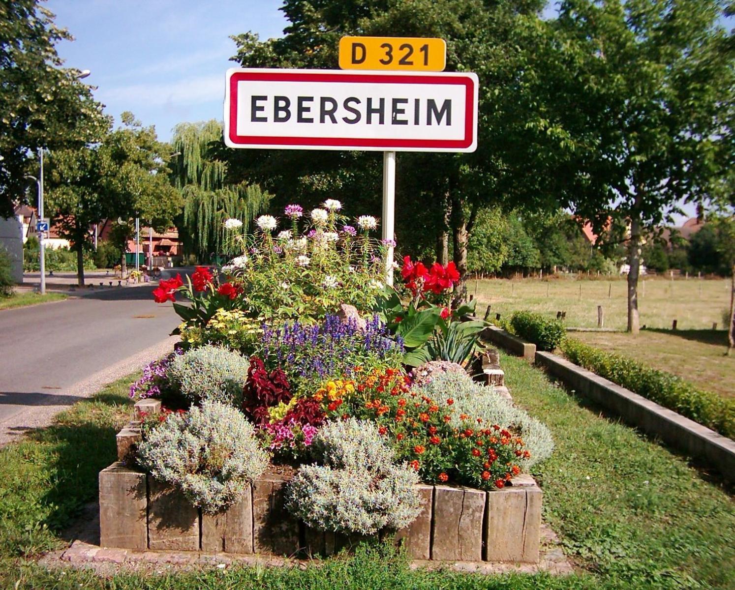 Gite Elouann Familial Spacieux Calme * Ebersheim